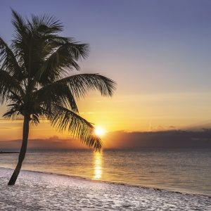 Ft_Lauderdale gay real estate